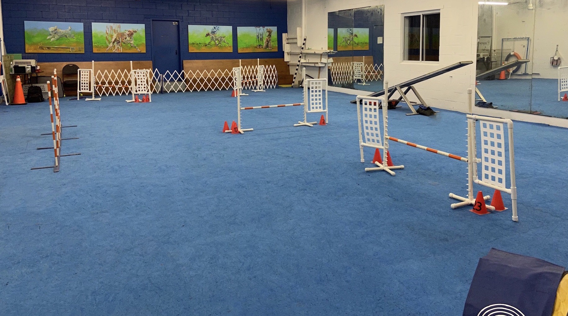 Salle de formation du club canin Chomedey