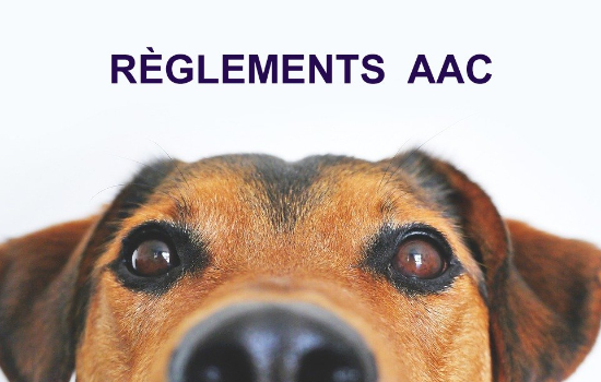 Règlements Officiels AAC