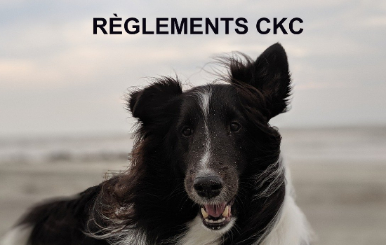 Règlements Officiels CKC