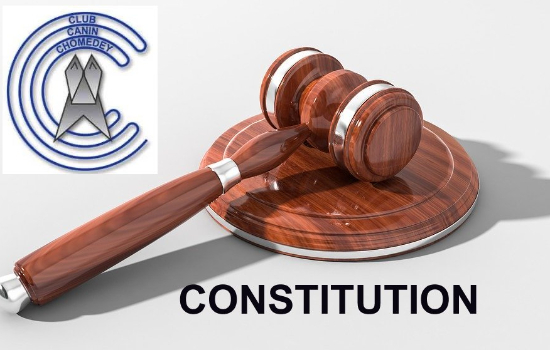 Constitution