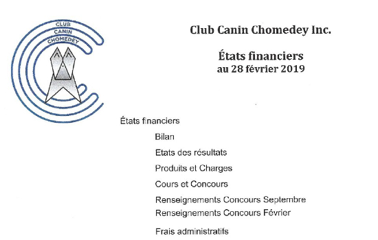 Rapport financier pour l’année 2018-2019
