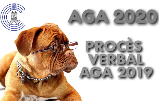Procès verbal AGA 2019