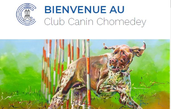 Guide des membres