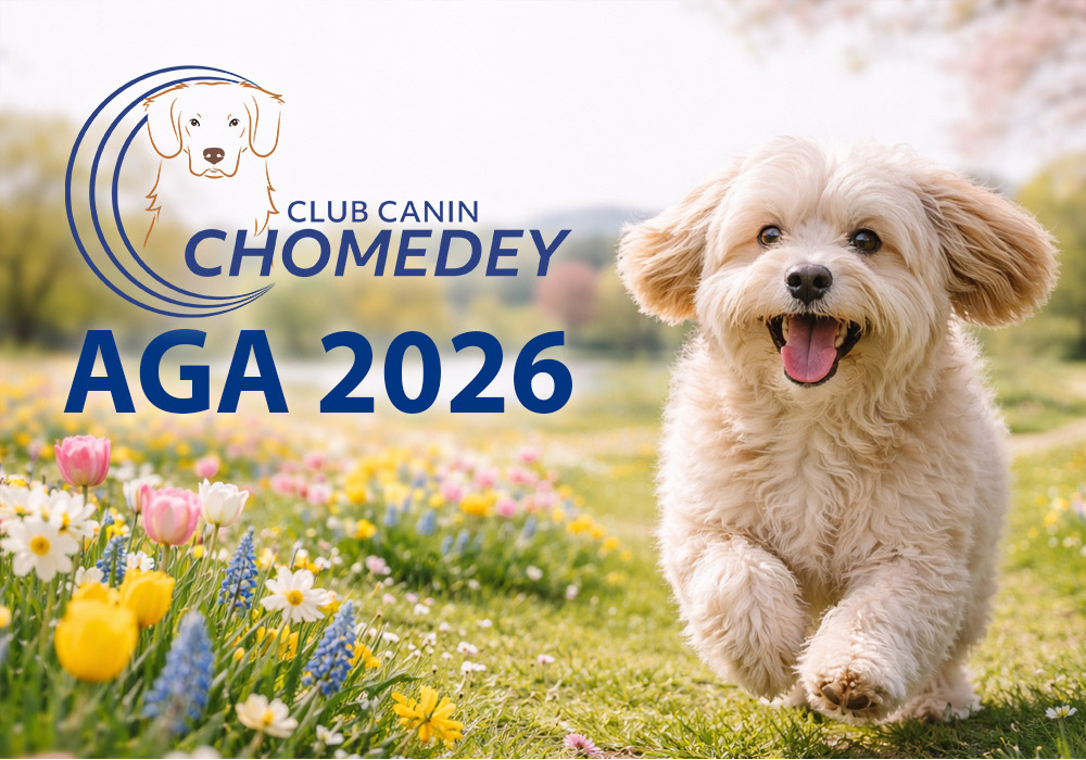 Assemblée Générale Annuelle 2026   