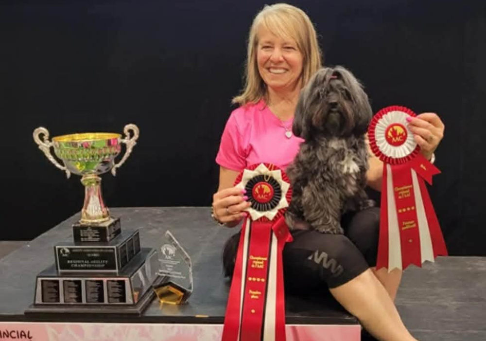 Cours théorique préparatoire au Provincial d’agilité 