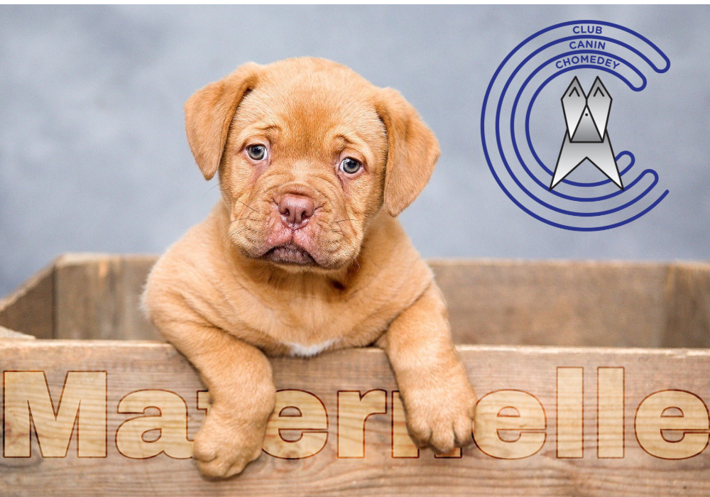 Obéissance - Maternelle