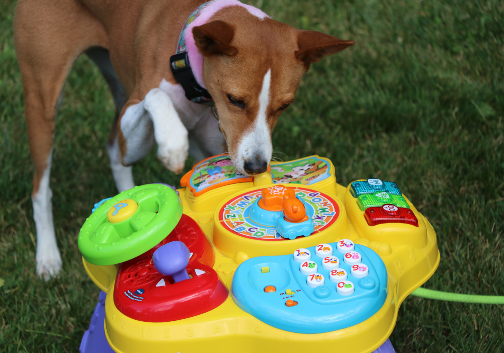 Scent Detection Advanced