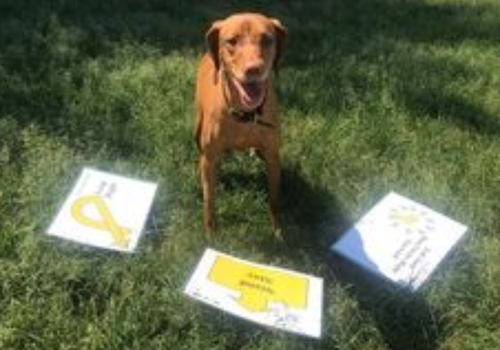 Rallye-O multi-niveau  Groupe 2  