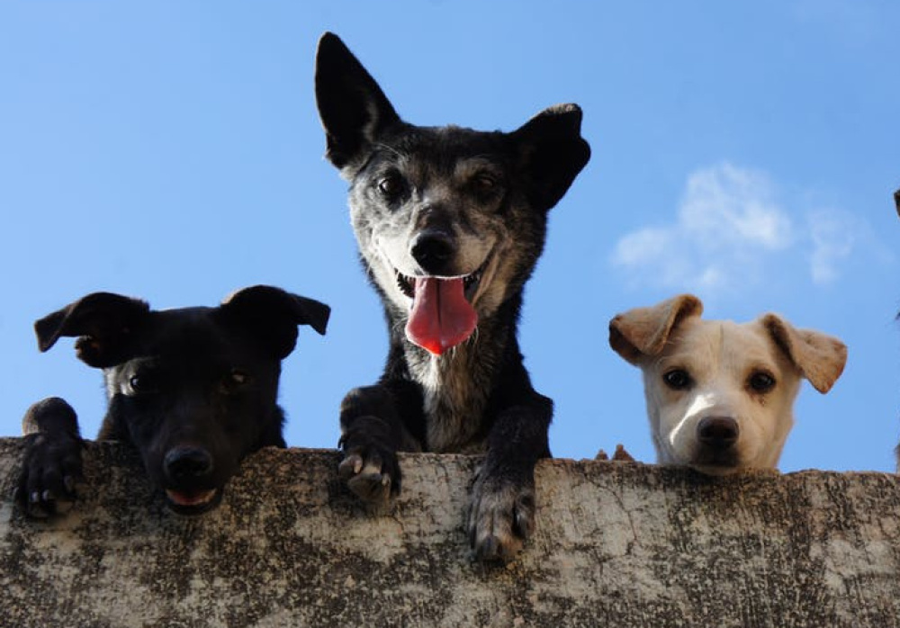 Focus and games GR1 Wednesday AM