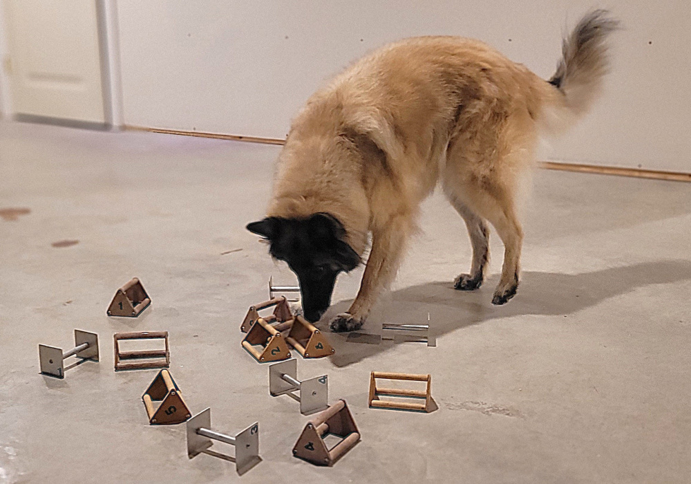 Obéissance - Utilité  Groupe 1  