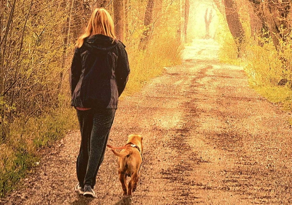 Marche en Laisse Gr1 Samedi AM 