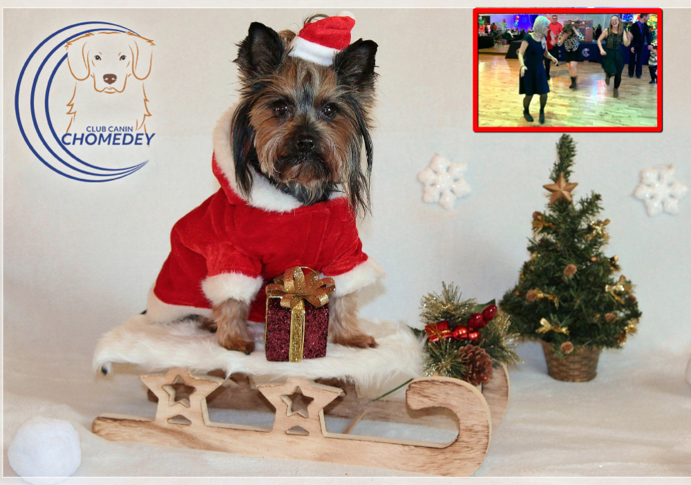Souper des Fêtes du Club Canin Chomedey    